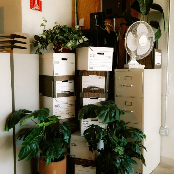 как навести порядок в вещах дома