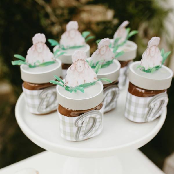 интересные идеи для гендер пати