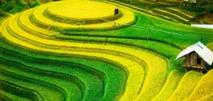 Стоит ли ехать на Бали в апреле?