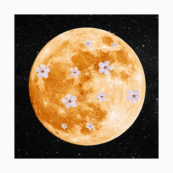 Лунный гороскоп на апрель 2026 года