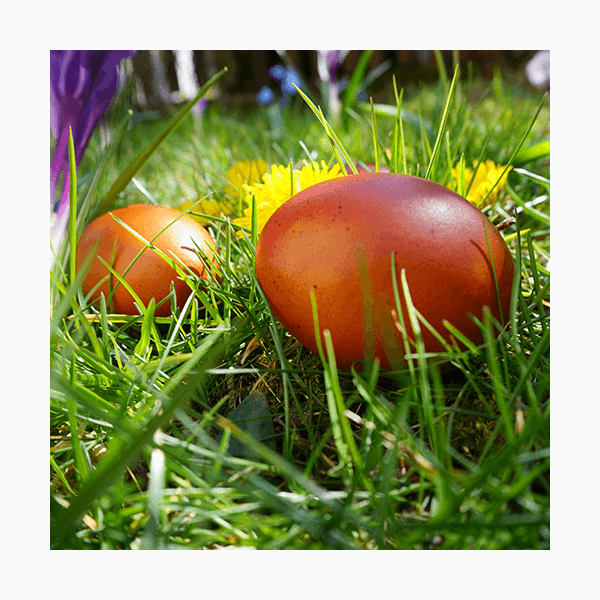 Что можно и нельзя делать на Пасху: полное руководство к празднику