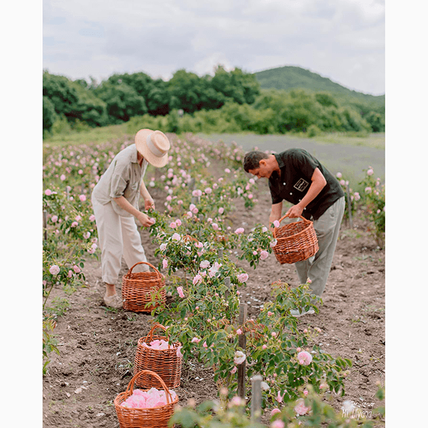 В романтических отношениях противоположности притягиваются или же ученые опровергли этот миф?