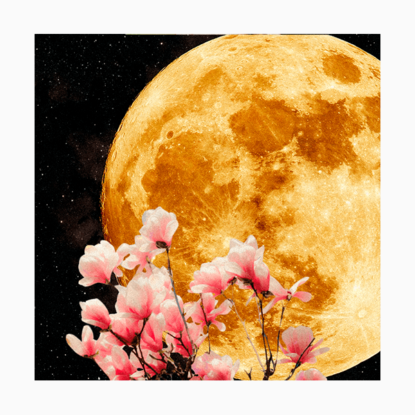 Лунный гороскоп на май 2026 года