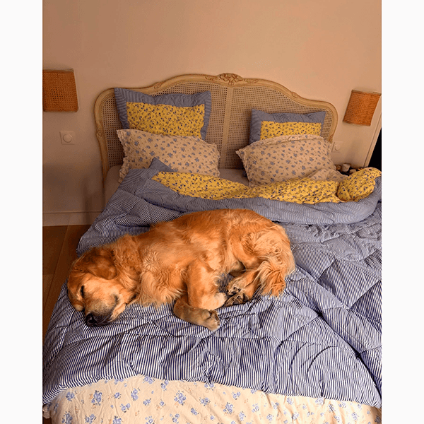 В романтических отношениях противоположности притягиваются или же ученые опровергли этот миф?