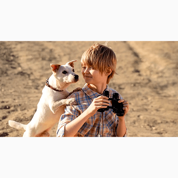 Что смотреть в кино на этой неделе: «Вот это драма!», «Красная пустыня», «Моя собака – космонавт»