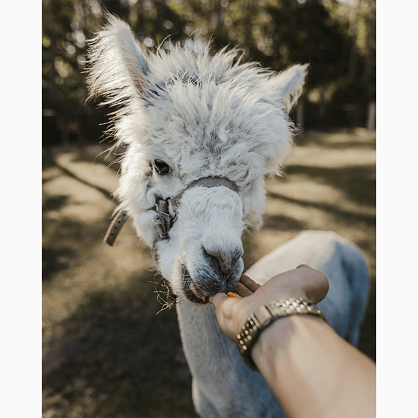 Что такое нишевый туризм и почему он с каждым годом становится все популярнее