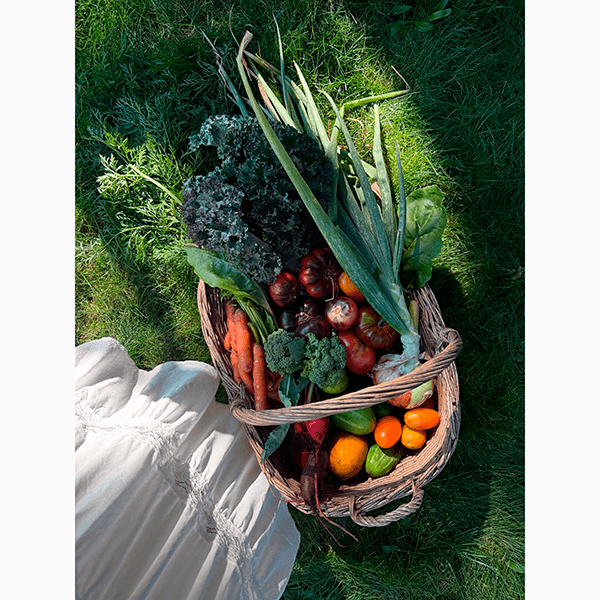 Где коллаген эффективнее: в косметике, в еде или в виде пищевой добавки?