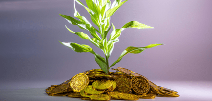 Фальшивые деньги