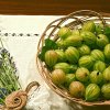 Крыжовник: вредители, болезни и меры борьбы с ними