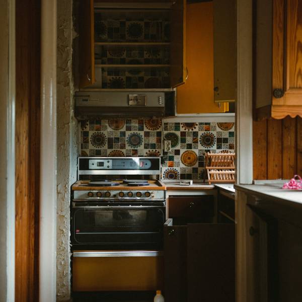 как избавиться от чешуйницы в квартире