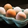 Как варить яйца, чтобы они не трескались