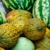 Арбуз или дыня: сравниваем пользу и вкуса