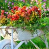 Июль садовода: самые важные летние дела на даче