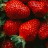 Клубника в июле: чем подкормить после плодоношения для урожая в следующем году