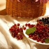Сок смородины: польза и вред для организма