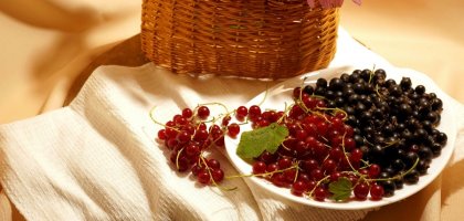 Сок смородины: польза и вред для организма