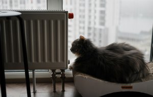 Почему батарея греет внизу, а сверху холодная (и как это исправить)