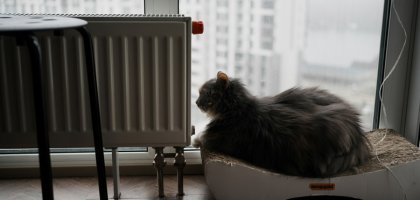 Почему батарея греет внизу, а сверху холодная (и как это исправить)