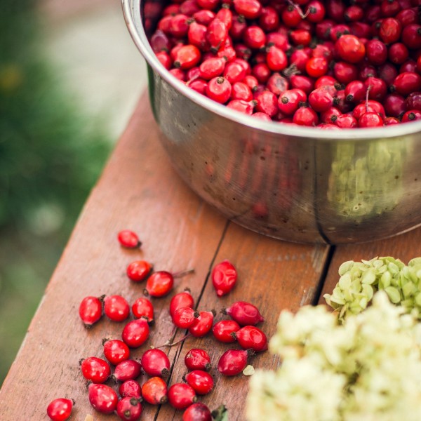 шиповник вред и польза