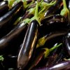 Почему баклажаны горчат и как убрать горечь перед готовкой