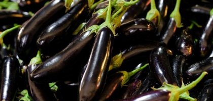 Почему баклажаны горчат и как убрать горечь перед готовкой
