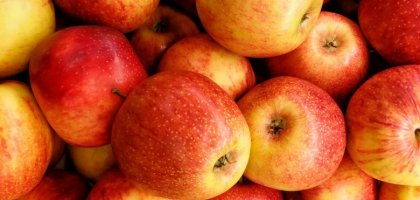 Почему яблоки темнеют на срезе и как сохранить их белыми