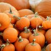 Как хранить целую тыкву, чтобы она не испортилась до весны