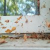 Плесень на пластиковых окнах: причины и эффективные методы борьбы