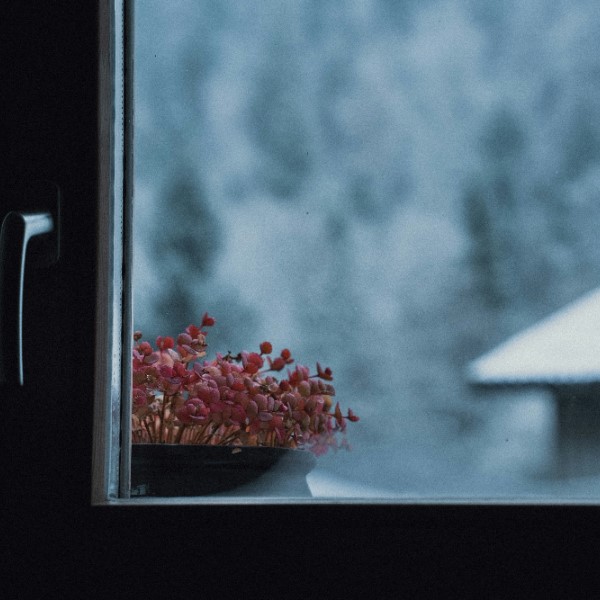 Удаление плесени с оконной рамы